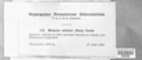 Image Associated With the Occurence